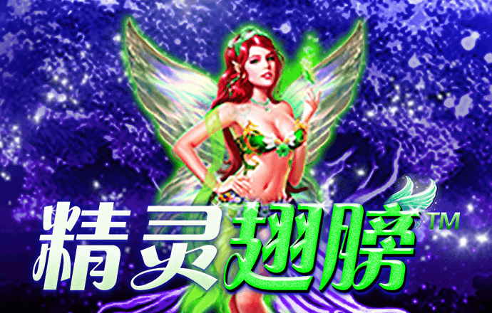 中欧体育vip官网登录网址