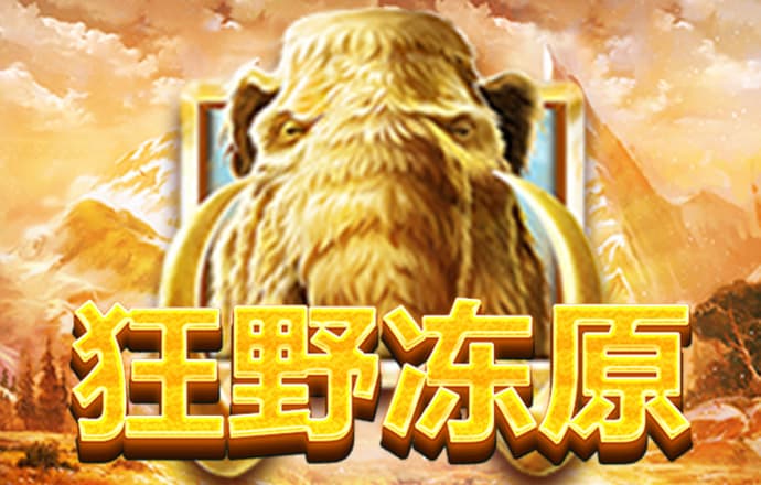 k体育登录